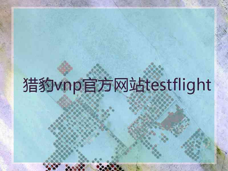 猎豹vnp官方网站testflight