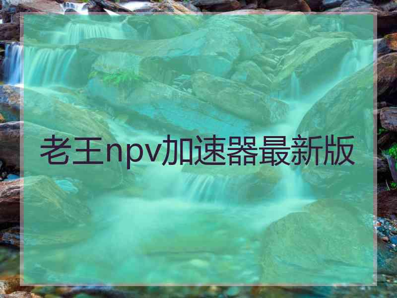 老王npv加速器最新版