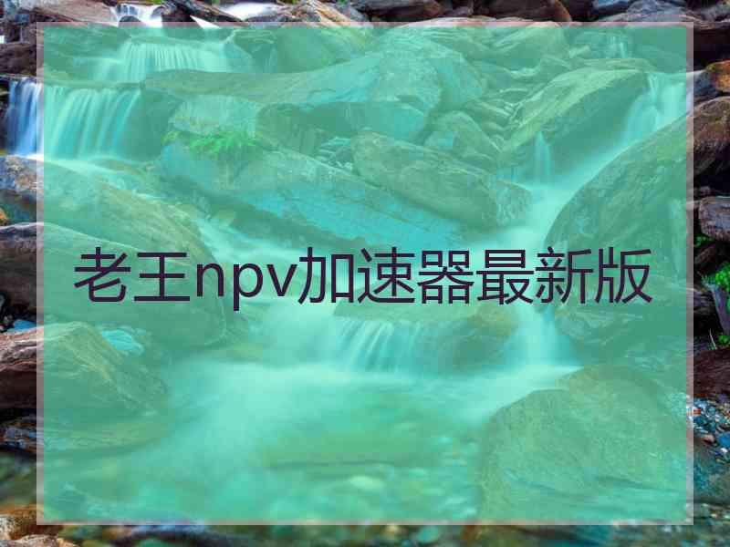 老王npv加速器最新版