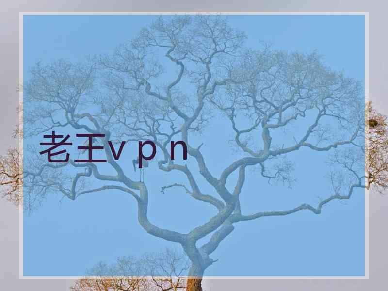 老王v p n