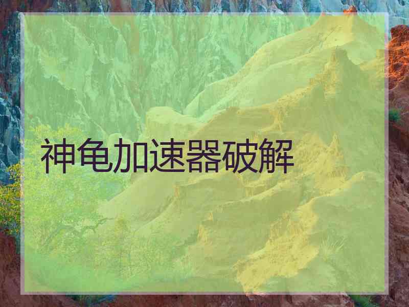 神龟加速器破解