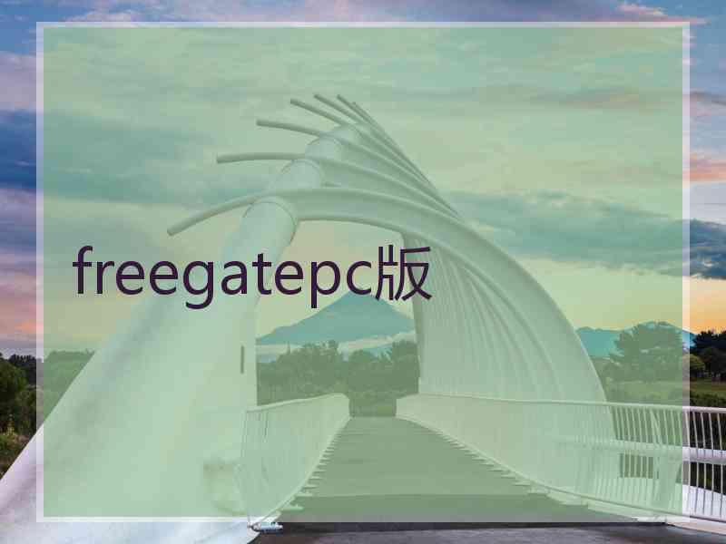 freegatepc版