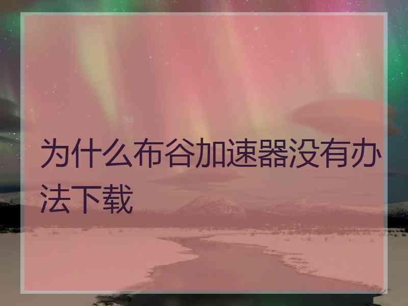 为什么布谷加速器没有办法下载