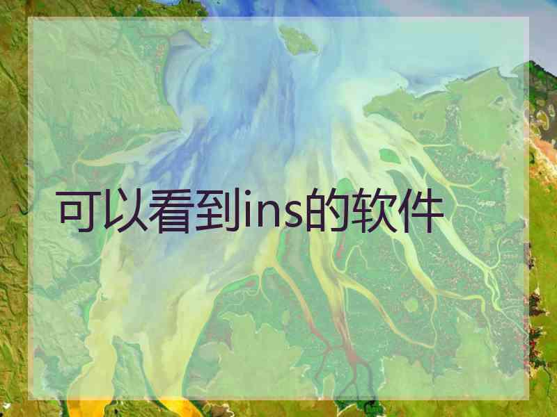 可以看到ins的软件