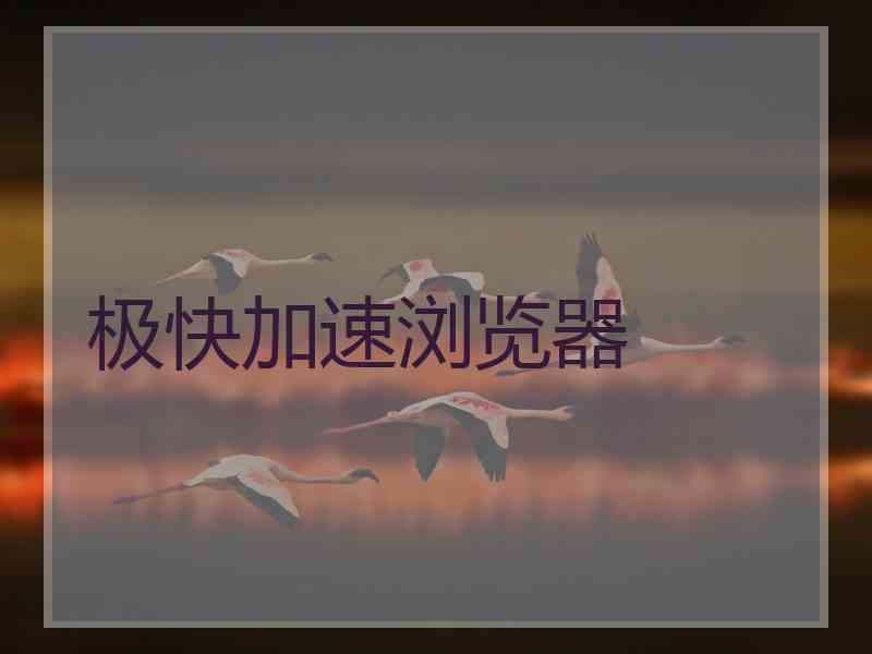极快加速浏览器