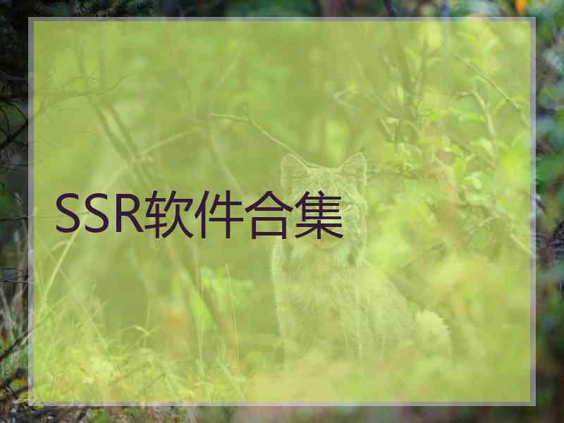 SSR软件合集
