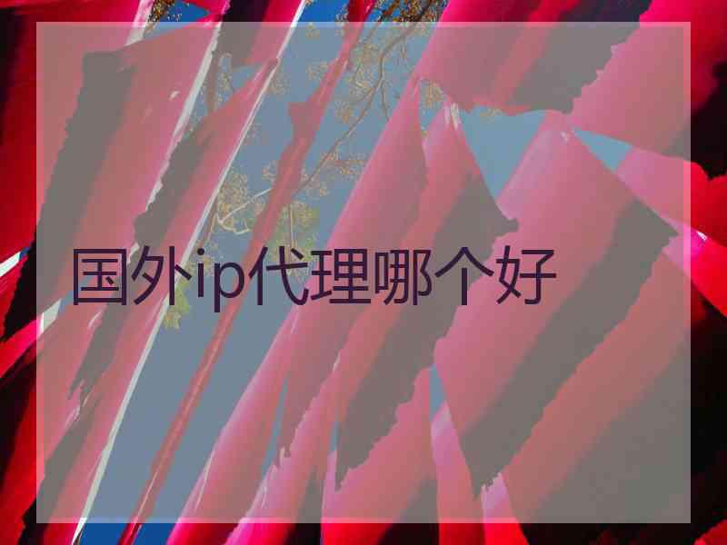 国外ip代理哪个好