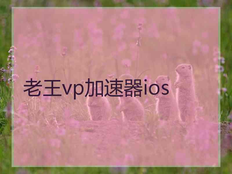 老王vp加速器ios