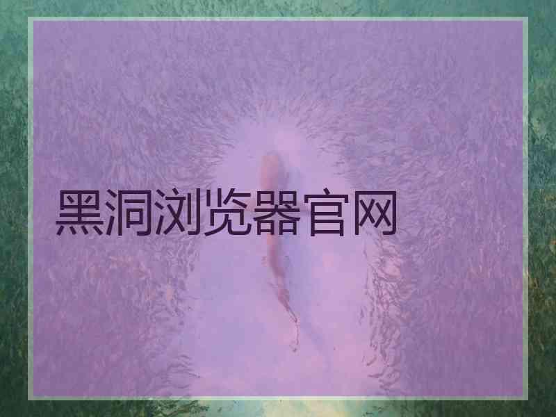 黑洞浏览器官网
