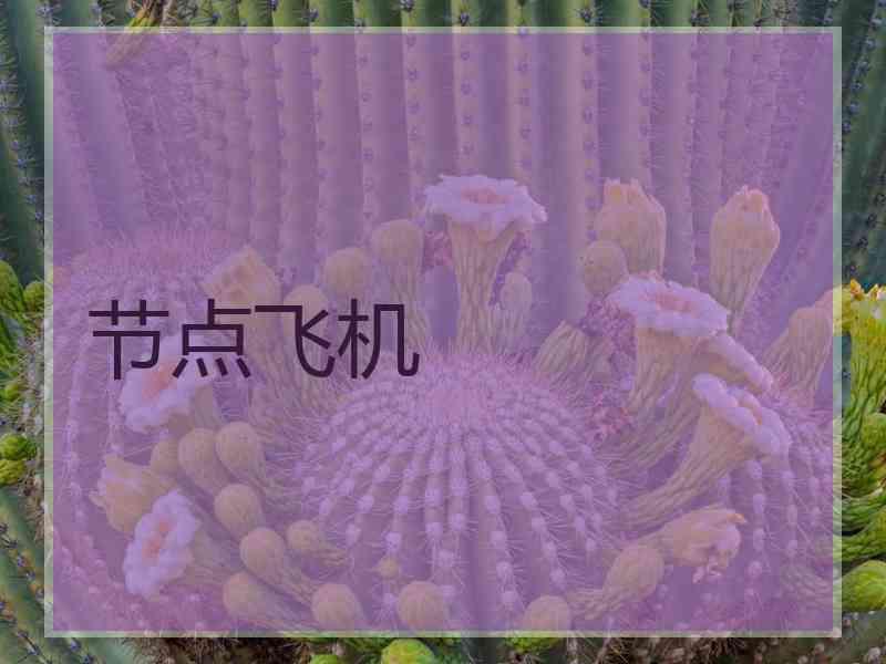 节点飞机