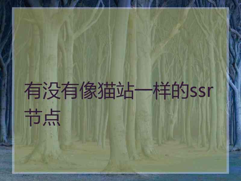 有没有像猫站一样的ssr节点