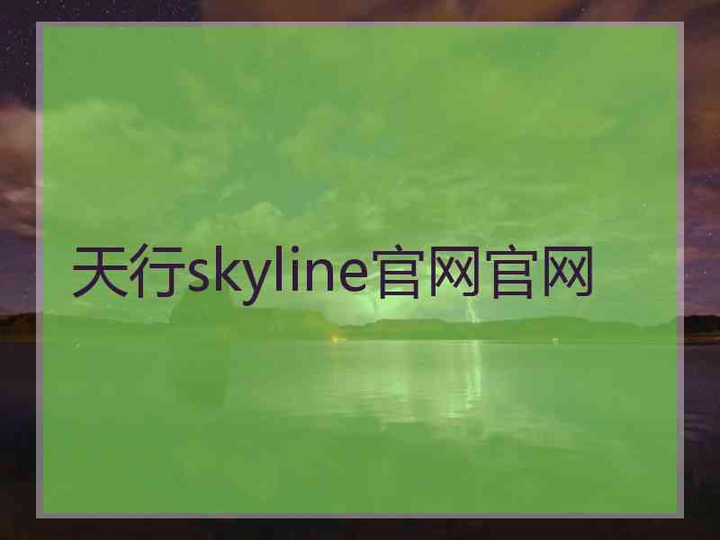 天行skyline官网官网