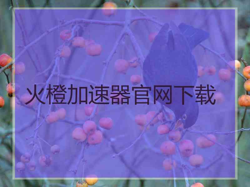 火橙加速器官网下载