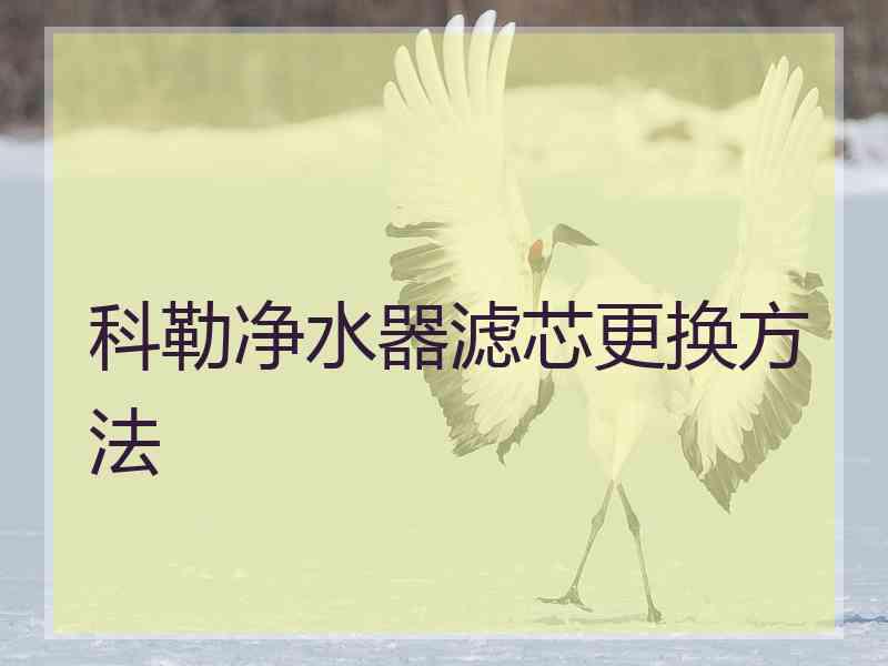 科勒净水器滤芯更换方法