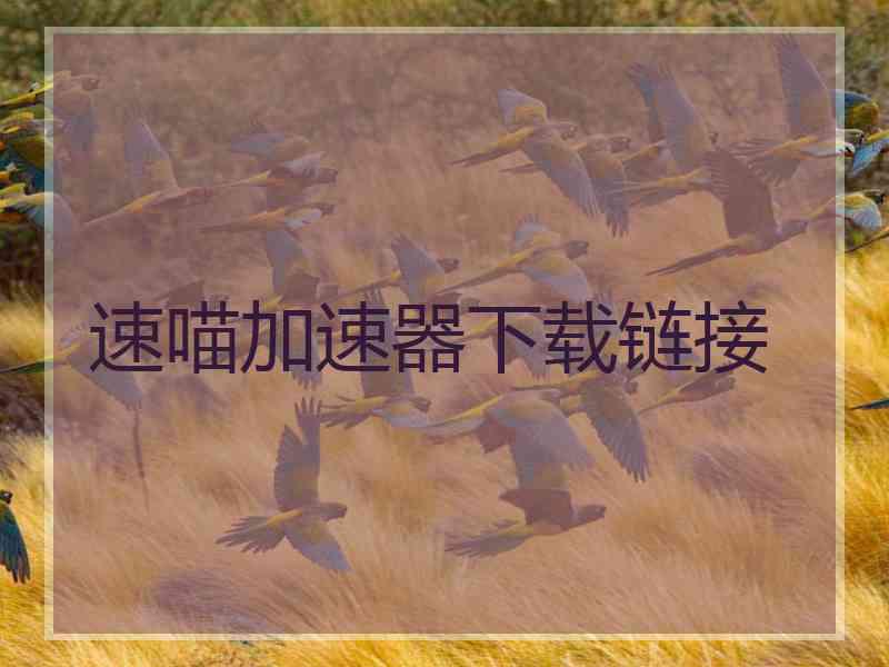速喵加速器下载链接