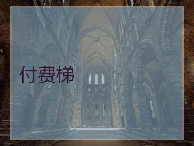 付费梯