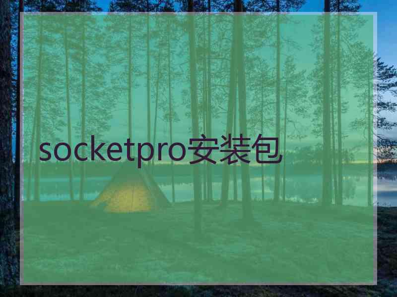 socketpro安装包