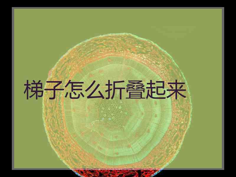 梯子怎么折叠起来
