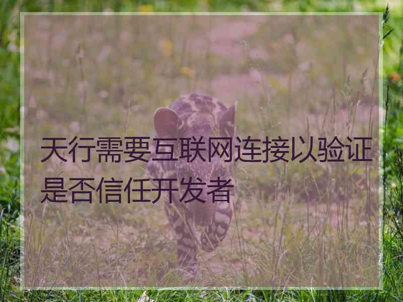 天行需要互联网连接以验证是否信任开发者
