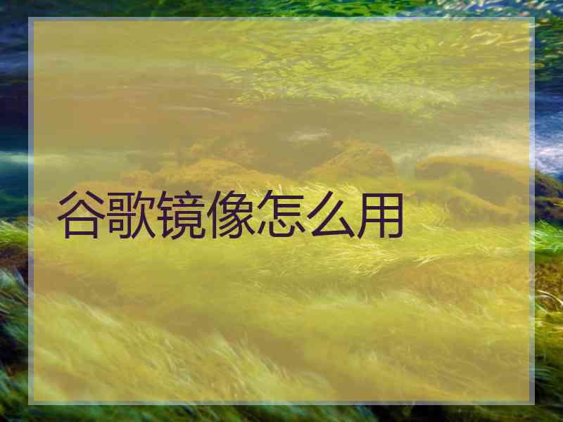 谷歌镜像怎么用