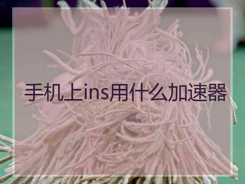 手机上ins用什么加速器