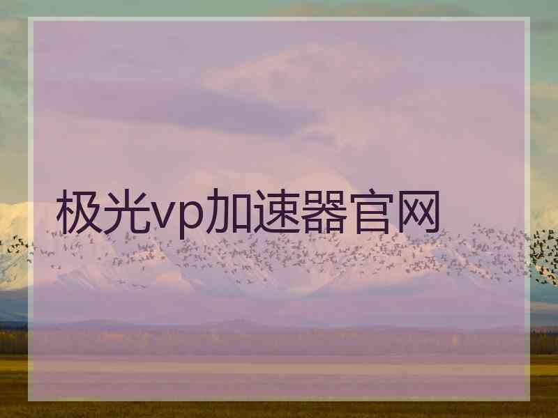 极光vp加速器官网