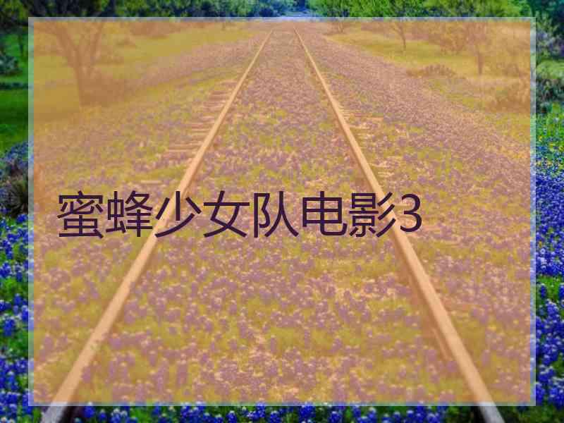 蜜蜂少女队电影3