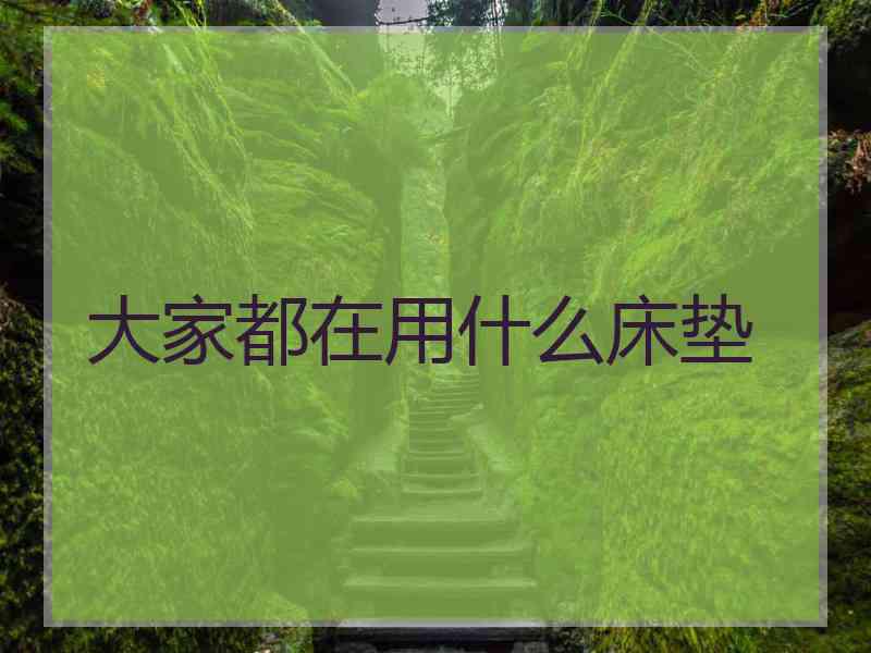 大家都在用什么床垫