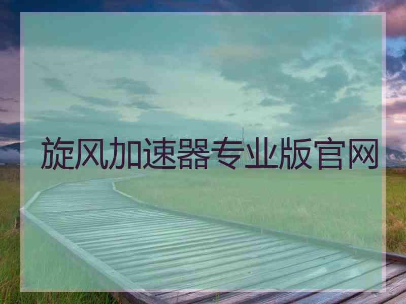 旋风加速器专业版官网