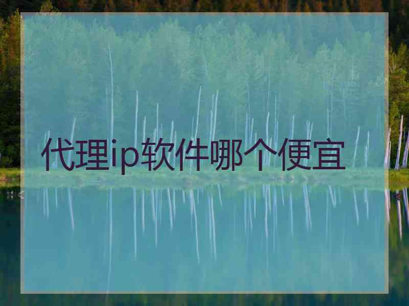 代理ip软件哪个便宜
