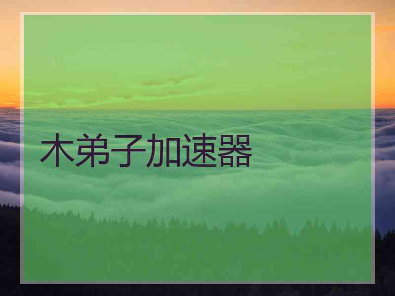 木弟子加速器