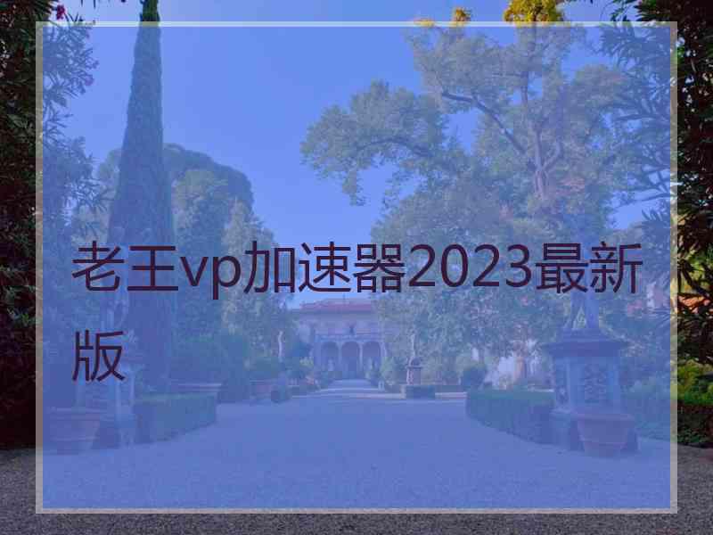 老王vp加速器2023最新版