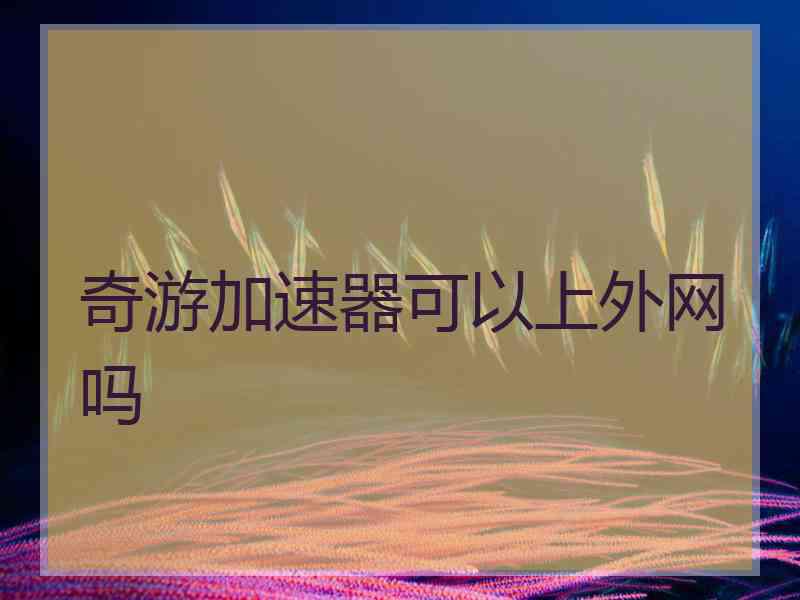 奇游加速器可以上外网吗