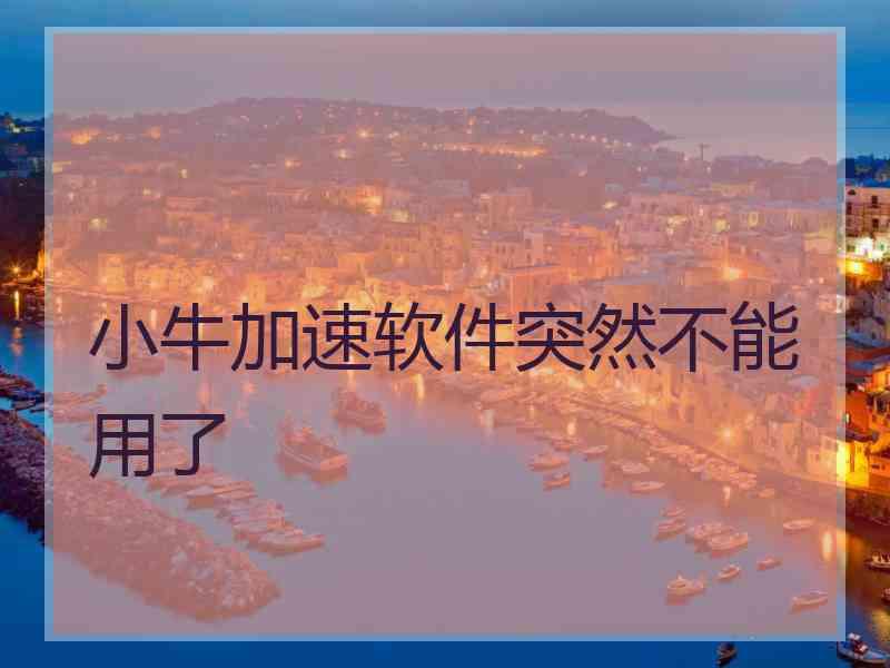 小牛加速软件突然不能用了