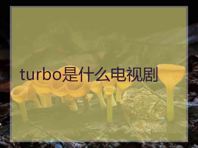 turbo是什么电视剧