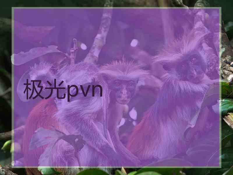 极光pvn