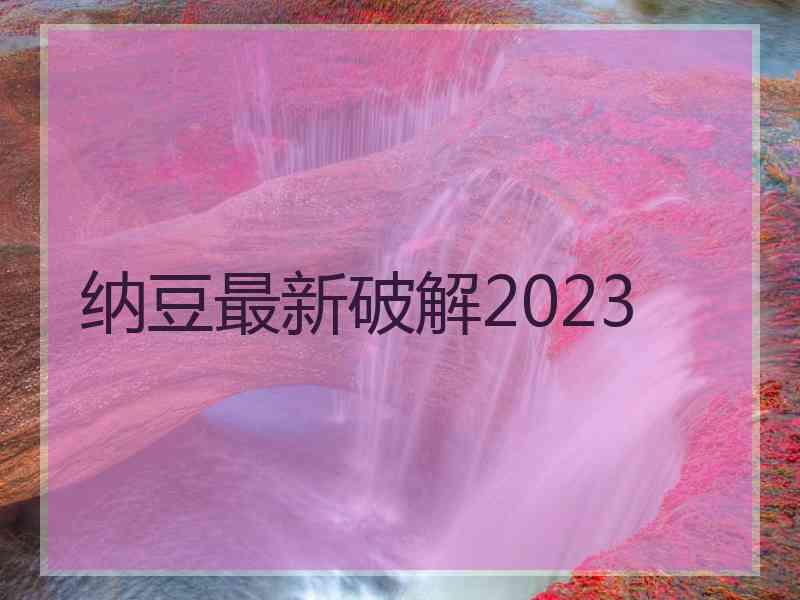 纳豆最新破解2023