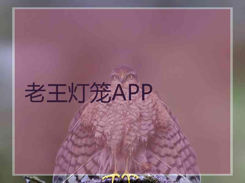 老王灯笼APP