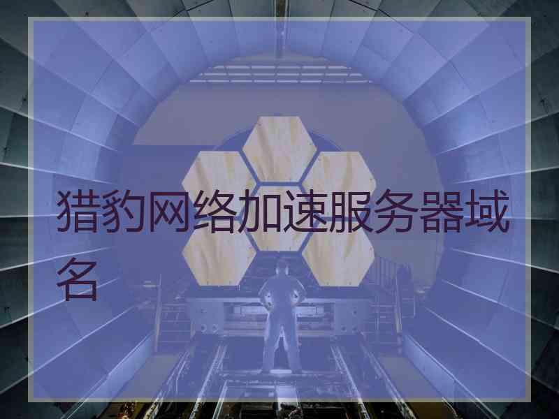 猎豹网络加速服务器域名