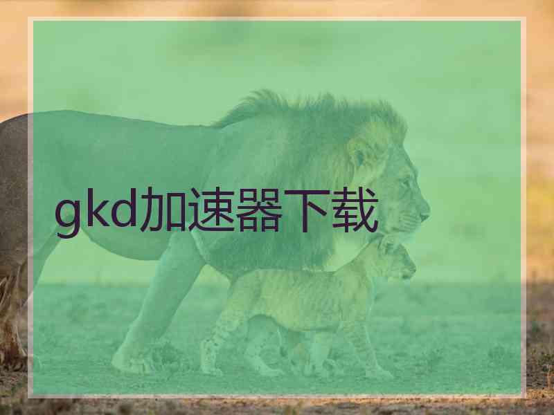 gkd加速器下载