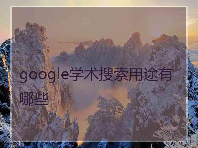 google学术搜索用途有哪些