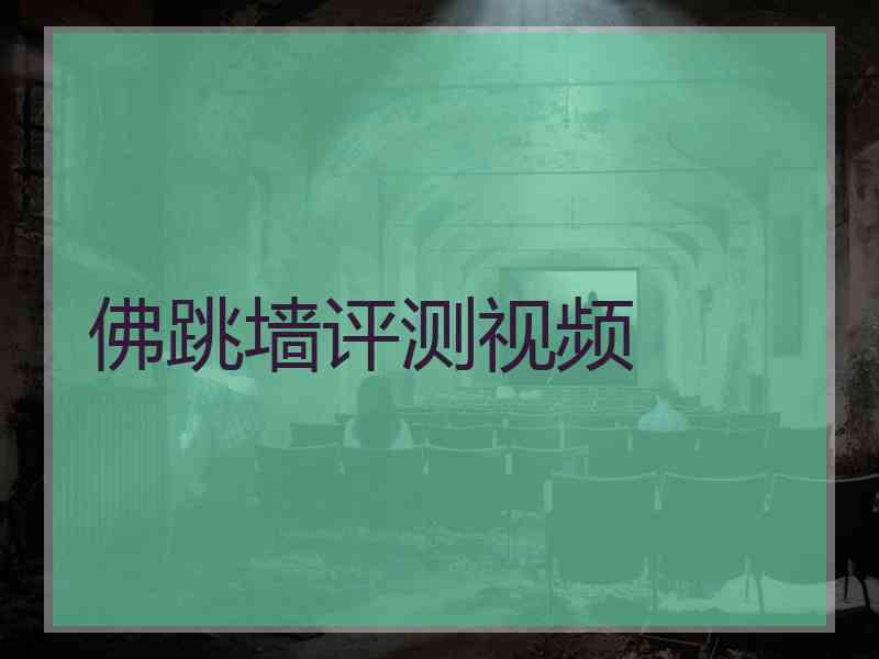 佛跳墙评测视频