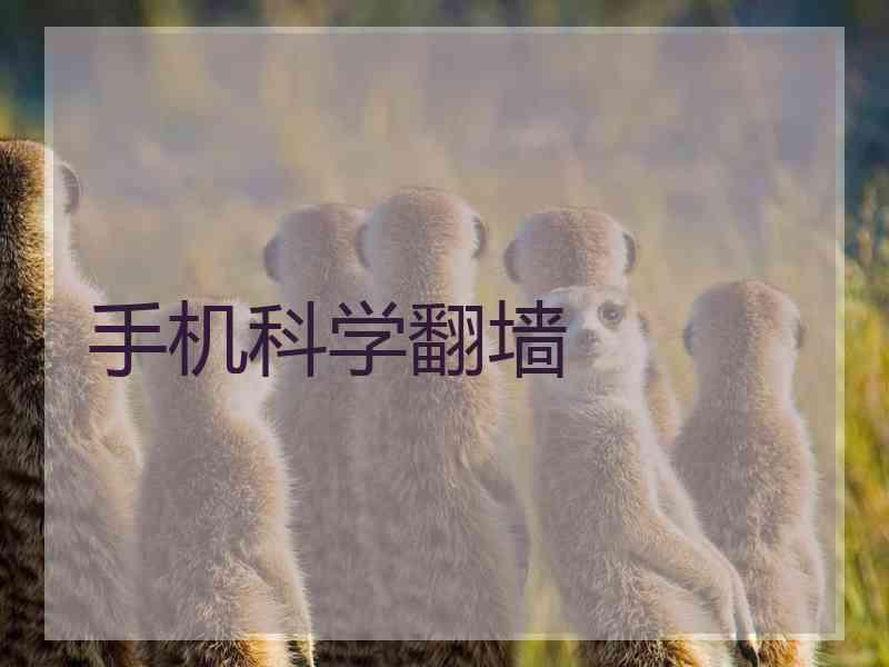 手机科学翻墙