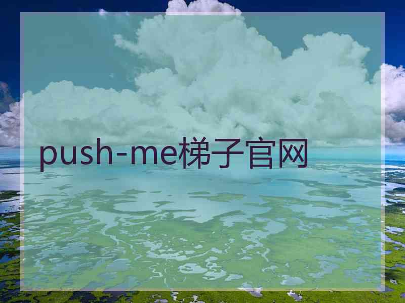 push-me梯子官网