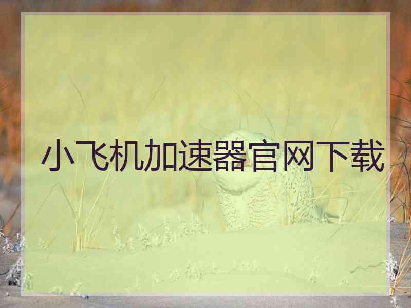 小飞机加速器官网下载
