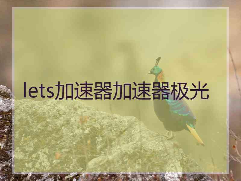 lets加速器加速器极光