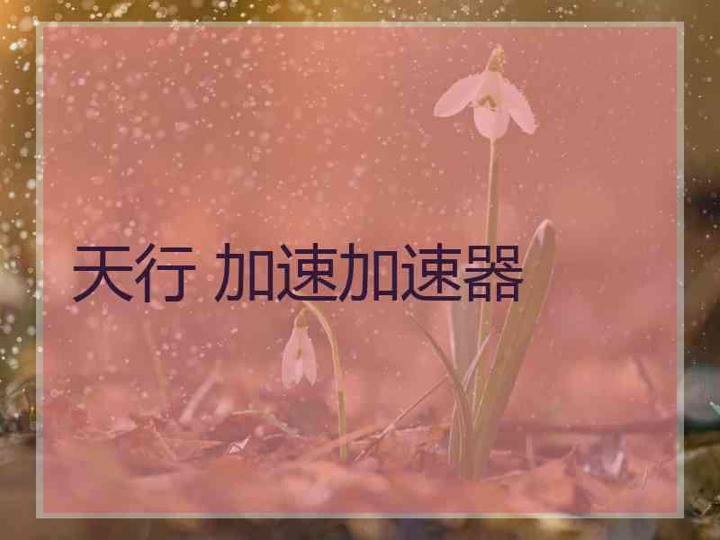 天行 加速加速器