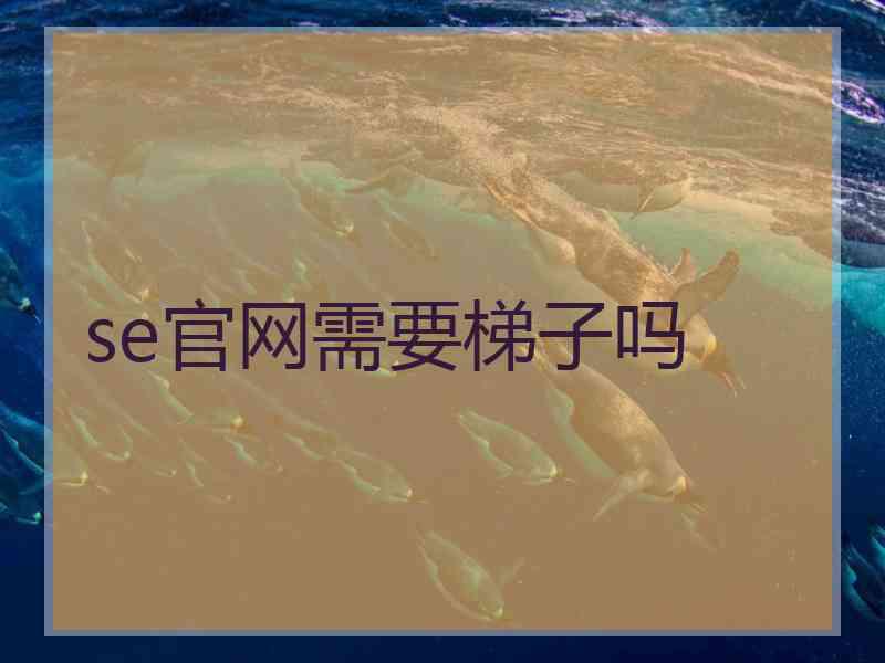se官网需要梯子吗