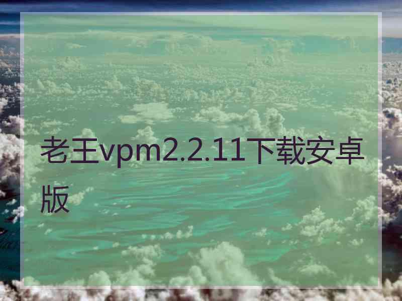 老王vpm2.2.11下载安卓版