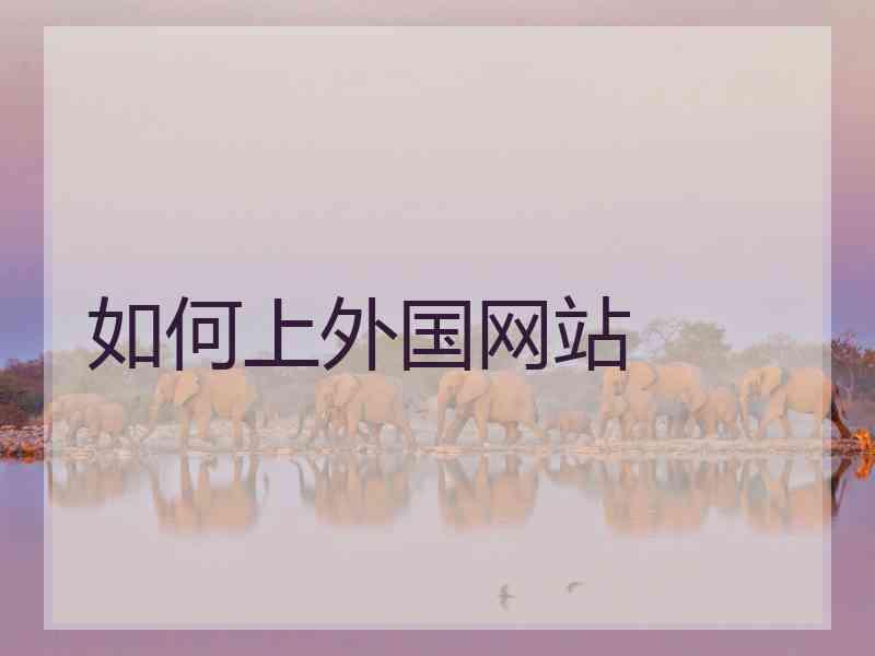 如何上外国网站